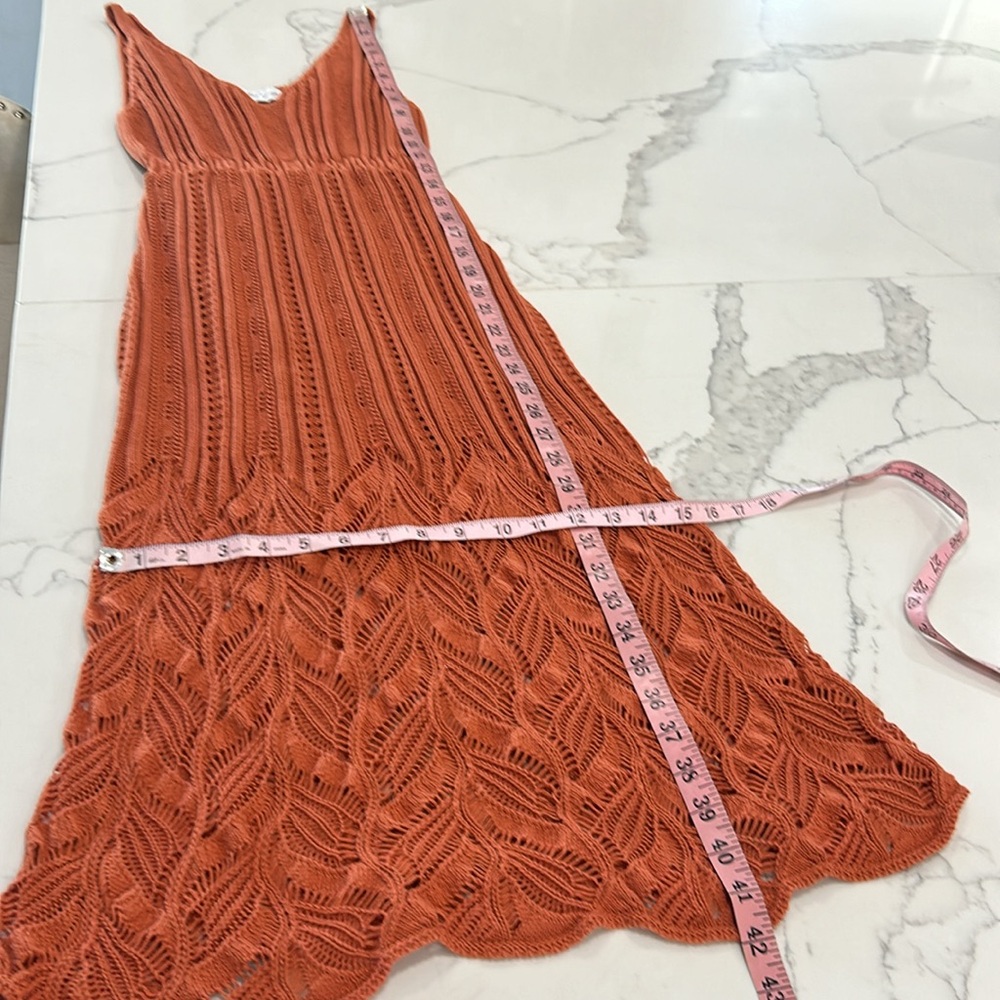 Petal & Pup Terracotta Midi Dress - Picture 14 of 14
